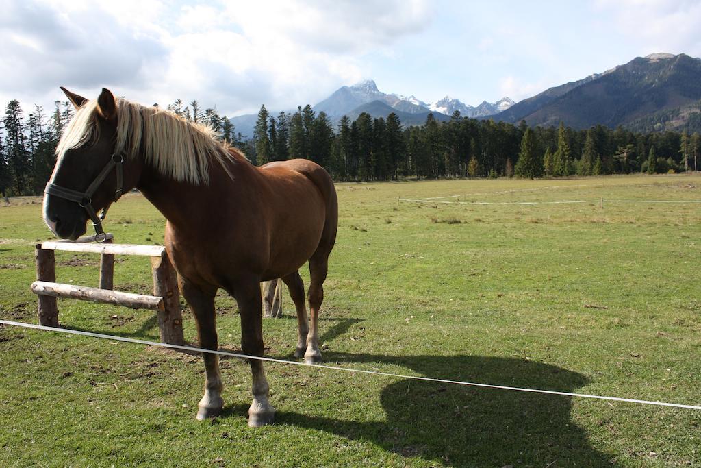 Penzion Koliba Vysoké Tatry エクステリア 写真