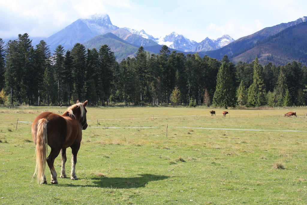 Penzion Koliba Vysoké Tatry エクステリア 写真
